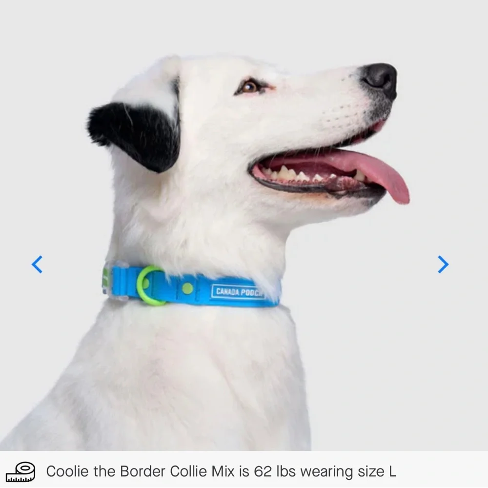 Canada Pooch Waterproof Dog Collar - Blue - S
